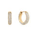 Pavé Crystal Earrings Gold DW00400642