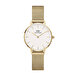 Petite Evergold DW00600350