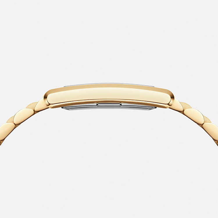 Bound 3-Link Gold DW00600703